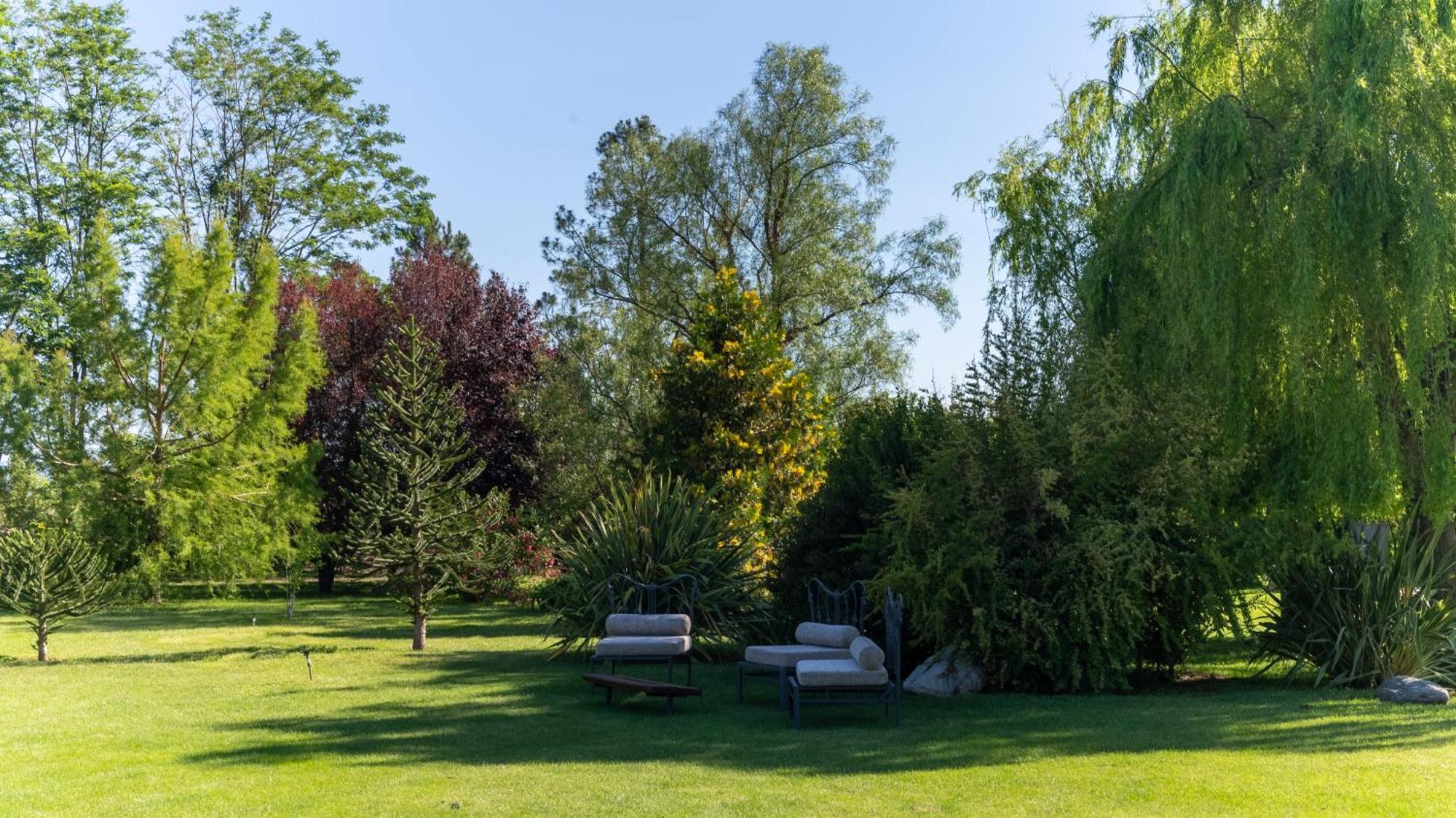 Pensjonat Casa De Huespedes La Azul Los Árboles Zewnętrze zdjęcie